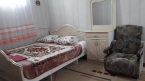 Apartment Shevchenko 68